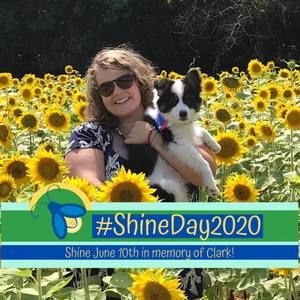 Meet your Posher, Lindsey